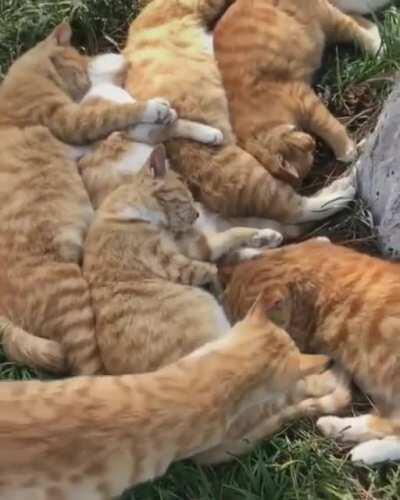 to find a spot in the pile