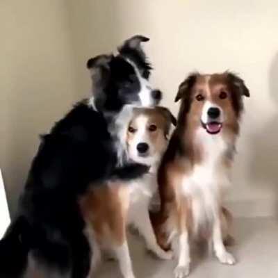 When It's Time To Take A Picture