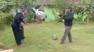 Поправление спины