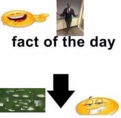 sorry for the goofy video, but where does this cover come from?