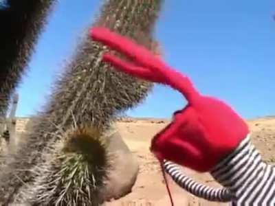 no bodoque que haces?!?!??!?