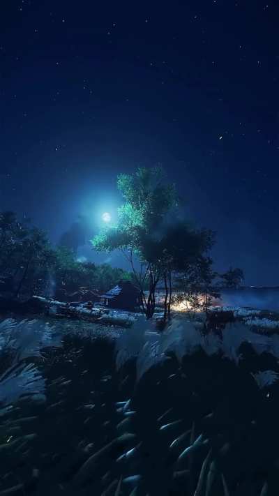 Breezy Night (Live Wallpaper)