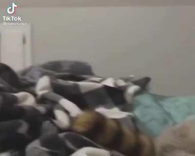 Cozy Holiday Snuggles