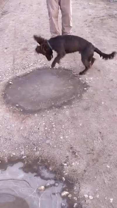 to splash in a puddle.