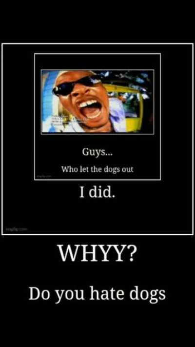 Dumb 🐕😑😑🤣😒😜🤣😒🤣😐😐