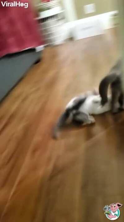 Calculation complete, ready to launch