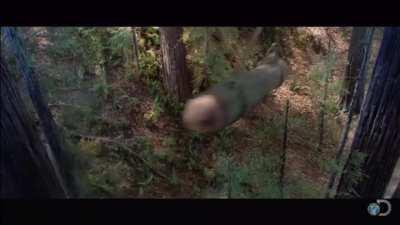 Behind the scenes at WG HQ while designing M-V-Yoh