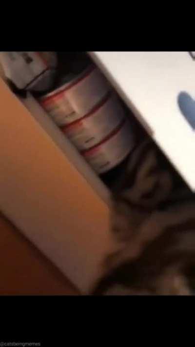 Do not disturb the printer technician!