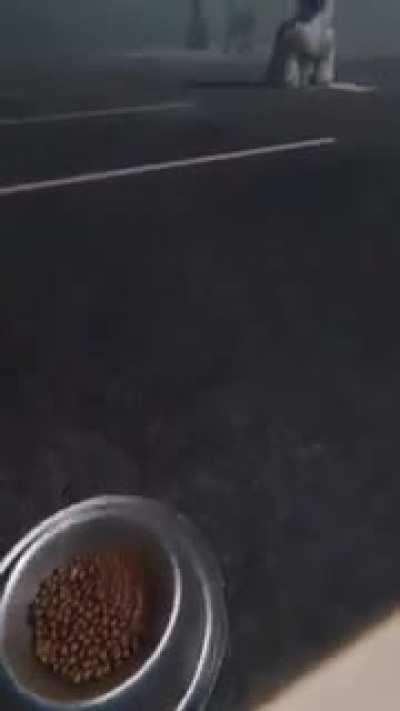 Credit: Lights ARE OFF