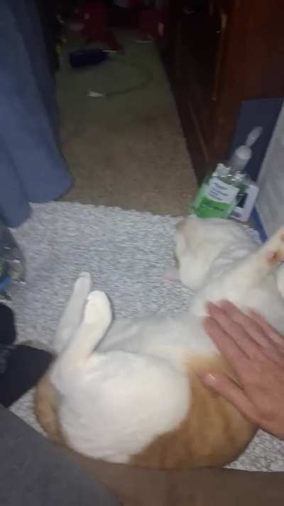 My war drum....Hardcore Henry.