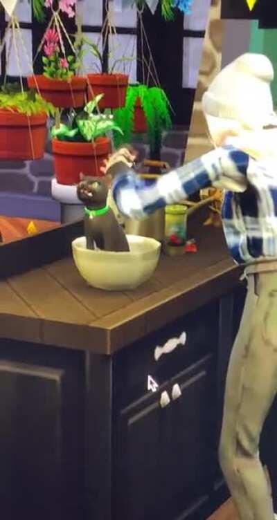 i don’t think you should cook that !