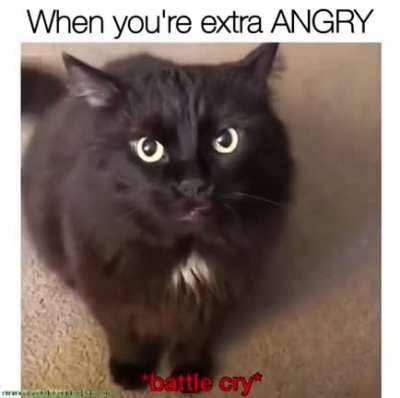 You are entitled to act on your feelings