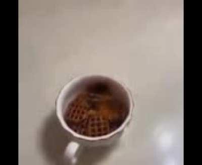 Pretzels on fucking fire