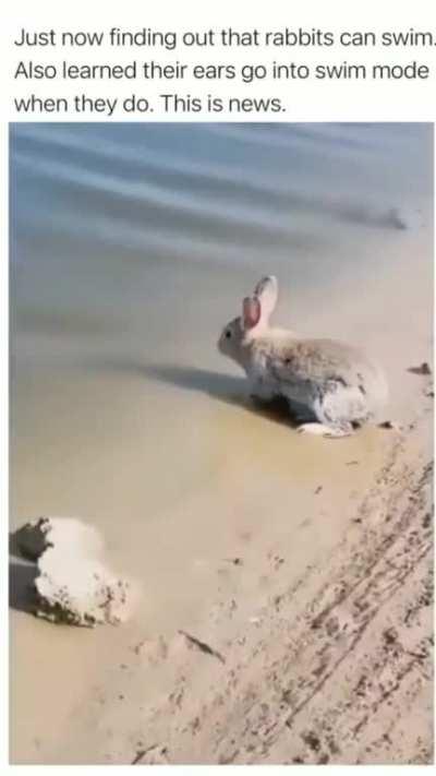 bringing you the important news