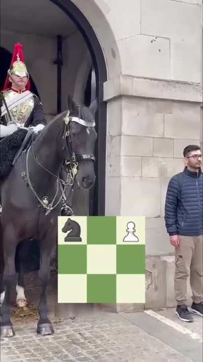 What's this move called?