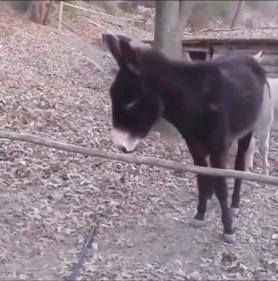 Work smarter, not harder