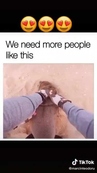 I get by with a little help from my friends