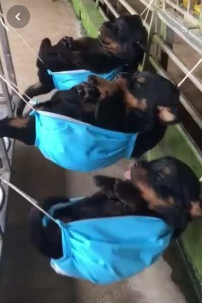 Someone out there has created another helpful use for masks