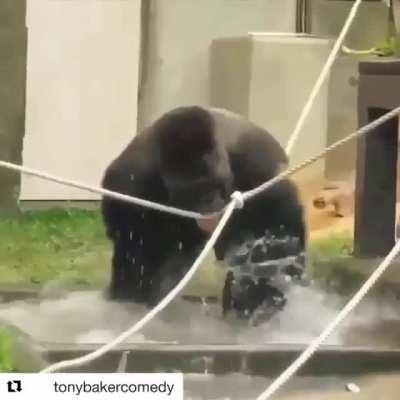 Немного юмора