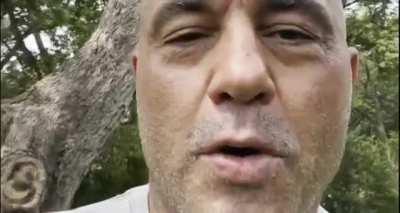 Toe is legitimately retarded