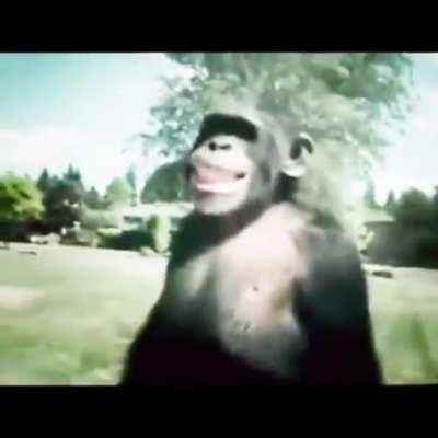 Ostias latino enfadao