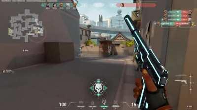 without seeing a single enemy or firing a shot