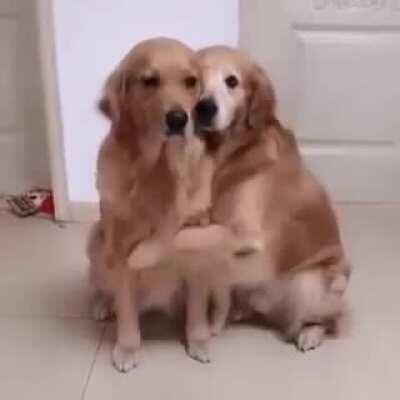 Literally ME and my ENFP fiancee - 100%