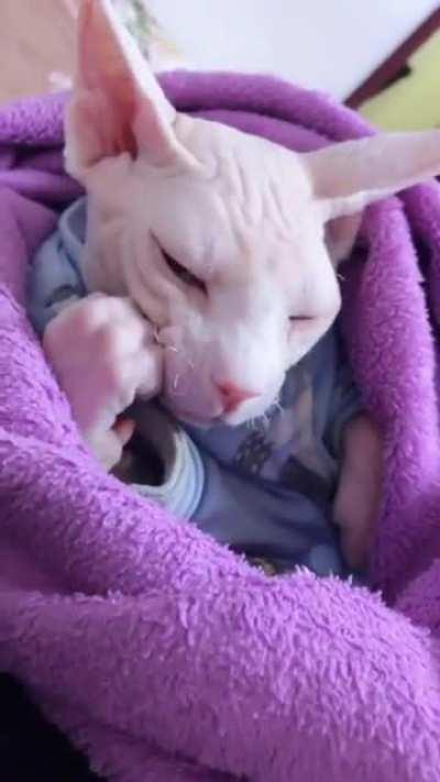 My sweet baby healed me😘