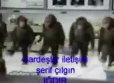 😳based monkeydonian folk dance