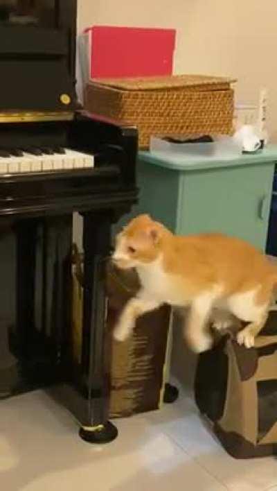 Extremely calculated jump