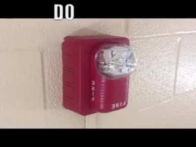 Variations on a Mogus