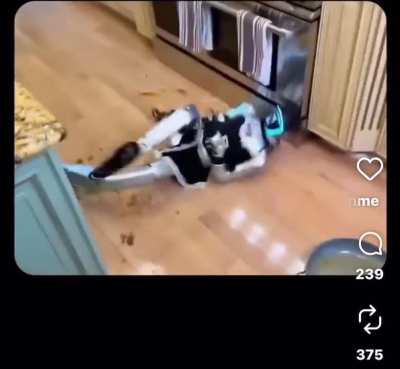 80k dolarlık salak robot