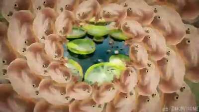 Wednesday! Let it out