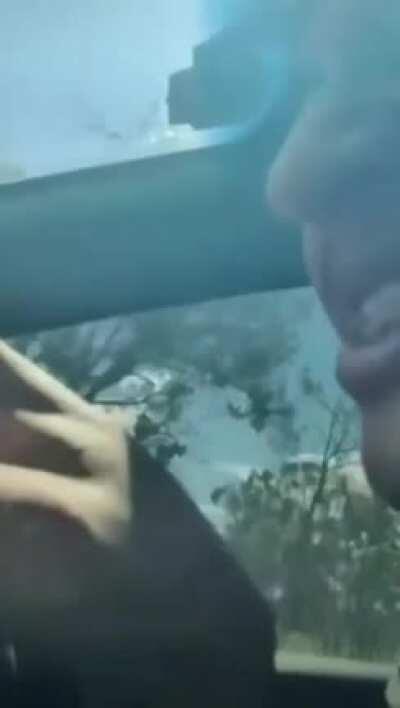 Best place to release a firework