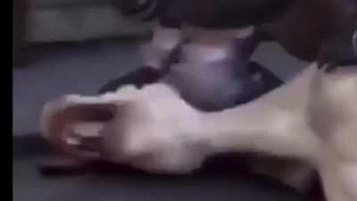 cursed_I can't breathe