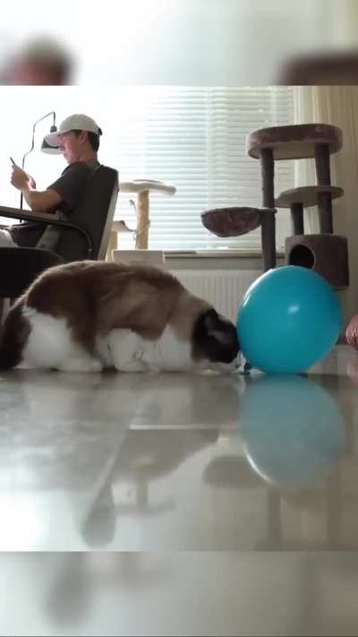 He got what he deserved 