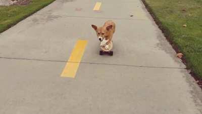 A couple weeks ago I modified my skateboard to be looser so oliver can use his weight to steer the board. Today was the first time I saw him control the board! He is actually carving, slowly, but he is doing it! I'm so excited, I need to find a smoother a