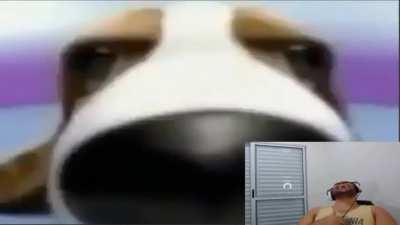 Qualquer coisa que o muca faz na live | chat: