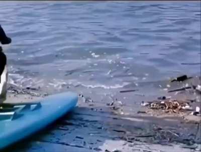 British amphibious water scooter, 1965.