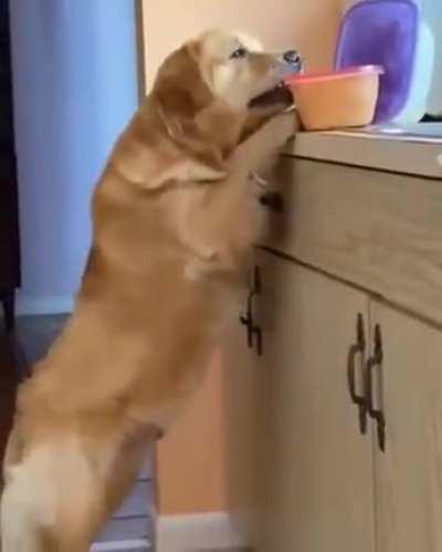 The theft didn't go according to plan.