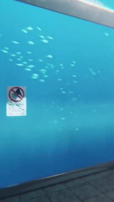 Pretty cool (the video is from tiktok, their @ is @lights.are.off) [no spoilers]