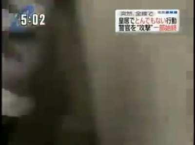 Tiger Shark appears in Tokyo