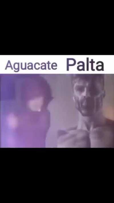 Que arda troya 😎🤙