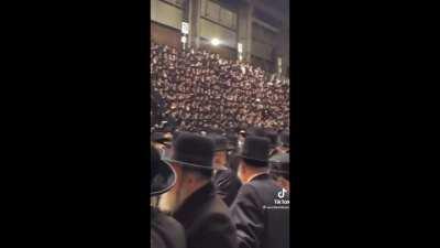 Rabbis turning up to Fat 800 Song 😂😂😂