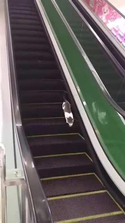 to go to another floor