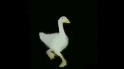 Madre mia Willy con el call me maybe se le ve bastante prodigio musical.