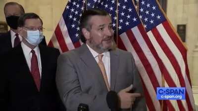 Ted Cuz' based response to reporter who demands he wear a mask