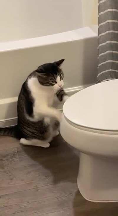 why are you the way you are