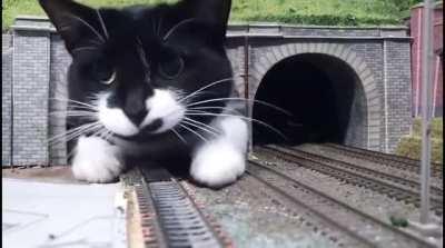 ⚠️⚠️⚠️ This is why you should NEVER stay near the exit of a railway tunnel!