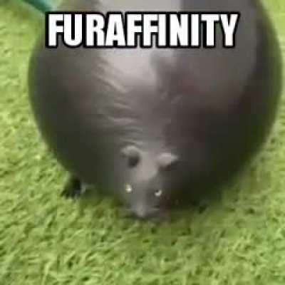 I don't have an account to that site...